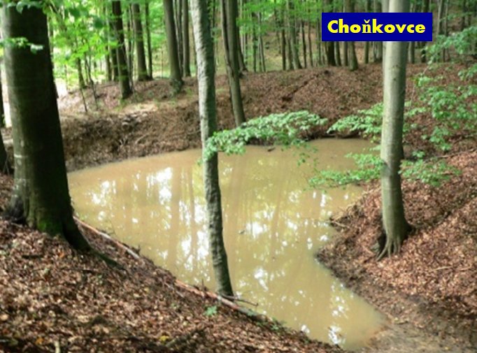 Peak flow control basin in forest, (Slovakia)