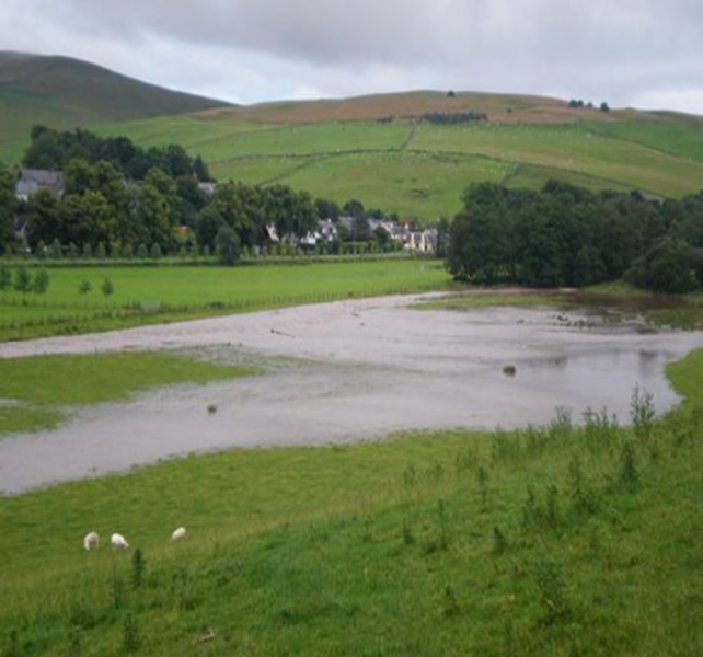 pasture