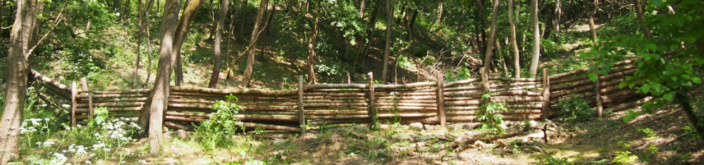 Peak flow control structure/ woody leaky dam in forest (HU)