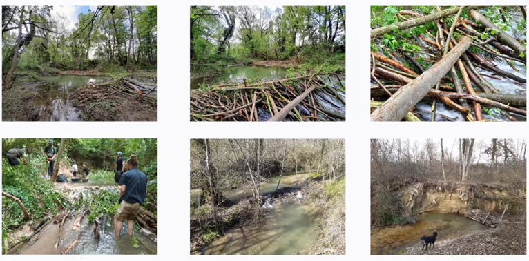 llustration: beaver mimicry structure in Lierne Véore (FR)