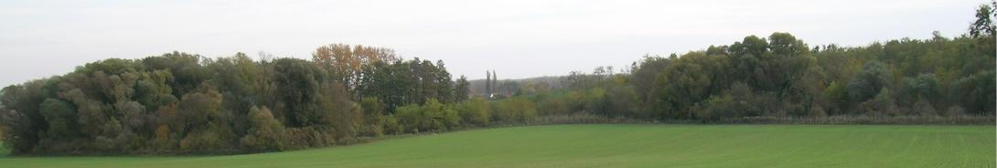 Forested buffer strips around cropland. The average width is 10 metres.