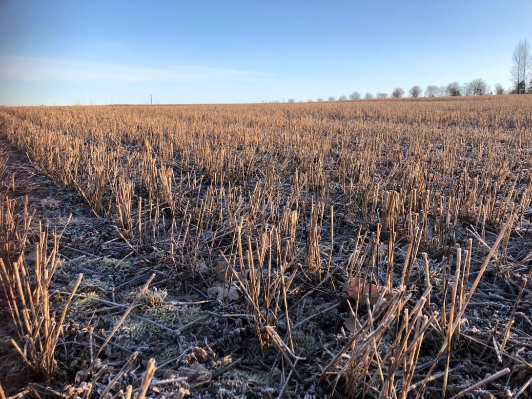 A stubble field within Kråkstad catchment, April 2022
