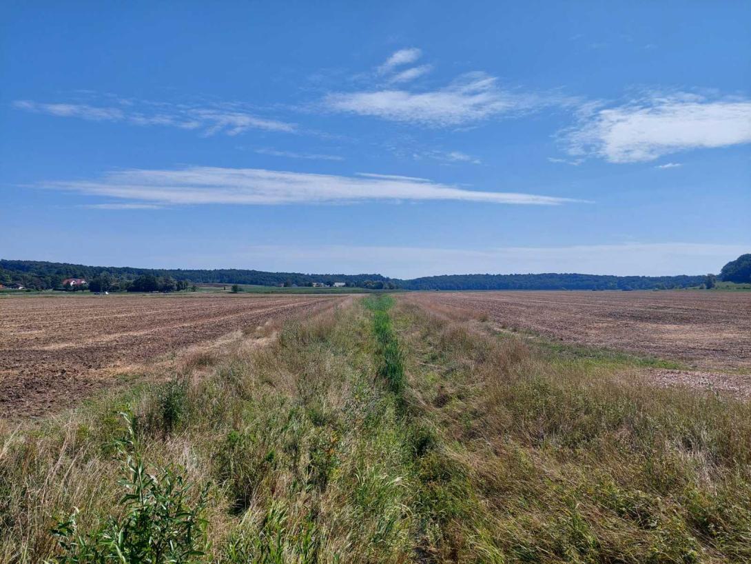 Strips along a watercourse close to the Pesnica River