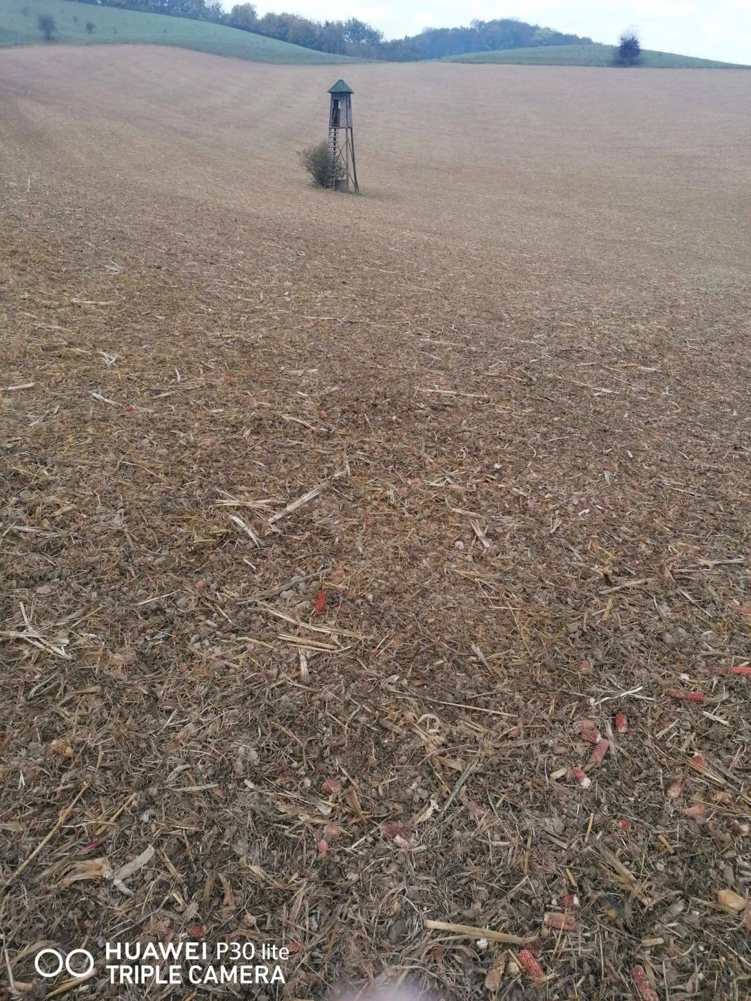 Tillage in Pesnica valley, Slovenia