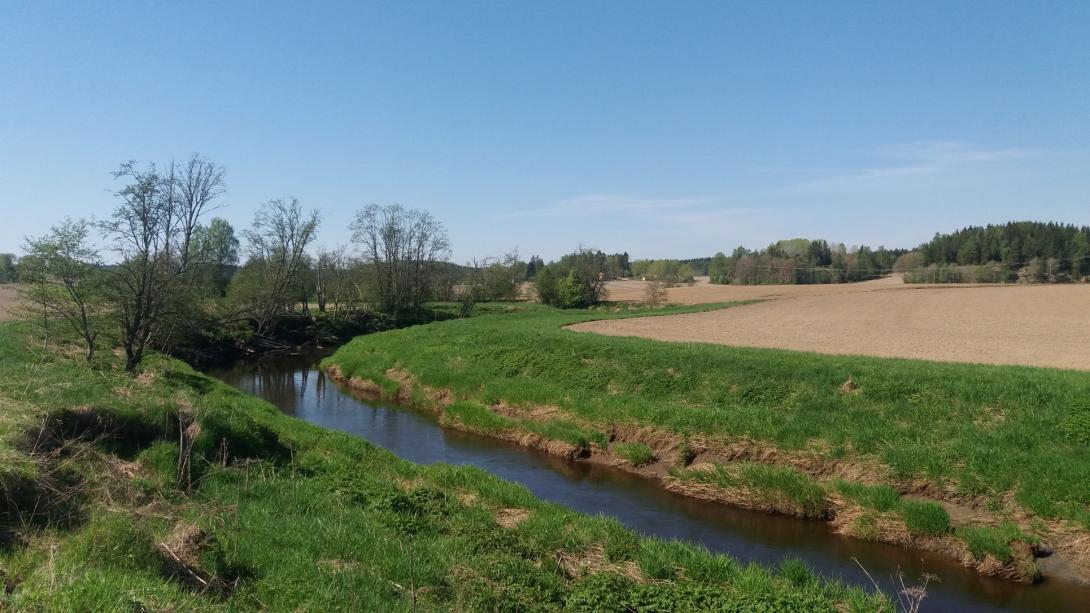 Buffer zones along the Hobøl River