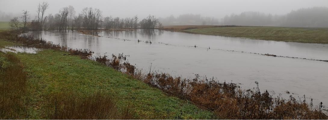 Flooded fields along Hobøl River