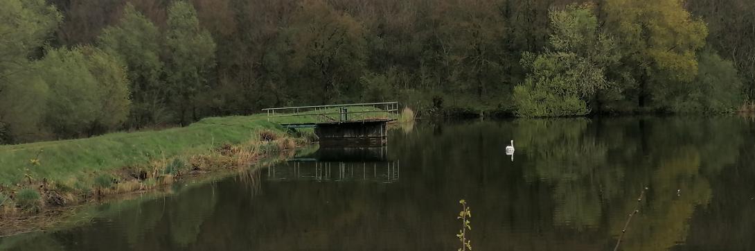 Sediment capture ponds are built on the stream carrying water from the catchment area