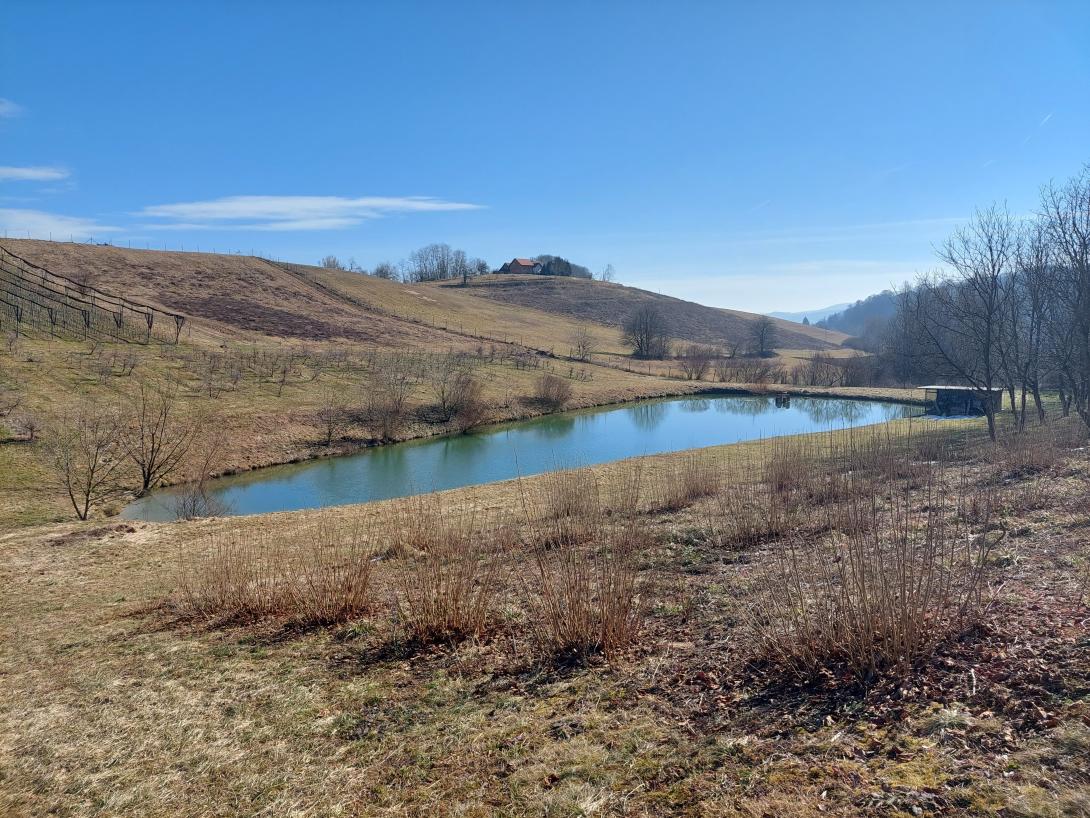 Retention pond in demonstration plantation centre Maribor.