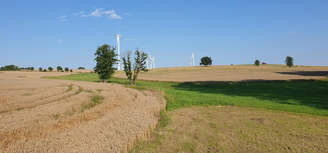 Example of a "grassed waterway" in the catchment area.