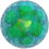 The Virtual Biodiversity Garden Gallery Logo