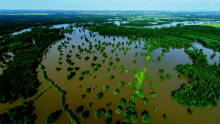 Floodplain restoration and management.png