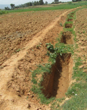 Infiltration Trenches