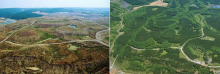 Maintenance of forest cover in headwater areas