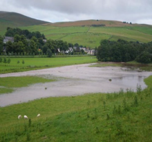 Meadows and pastures