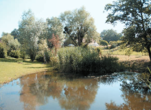 Retention pond in Chêne Bougerie, Switzerland 