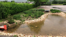 Rain Gardens