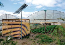 Rainwater Harvesting