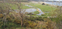 Re-naturalisation of polder areas