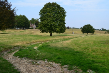 Restoration and reconnection of seasonal streams