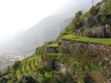 Traditional terracing