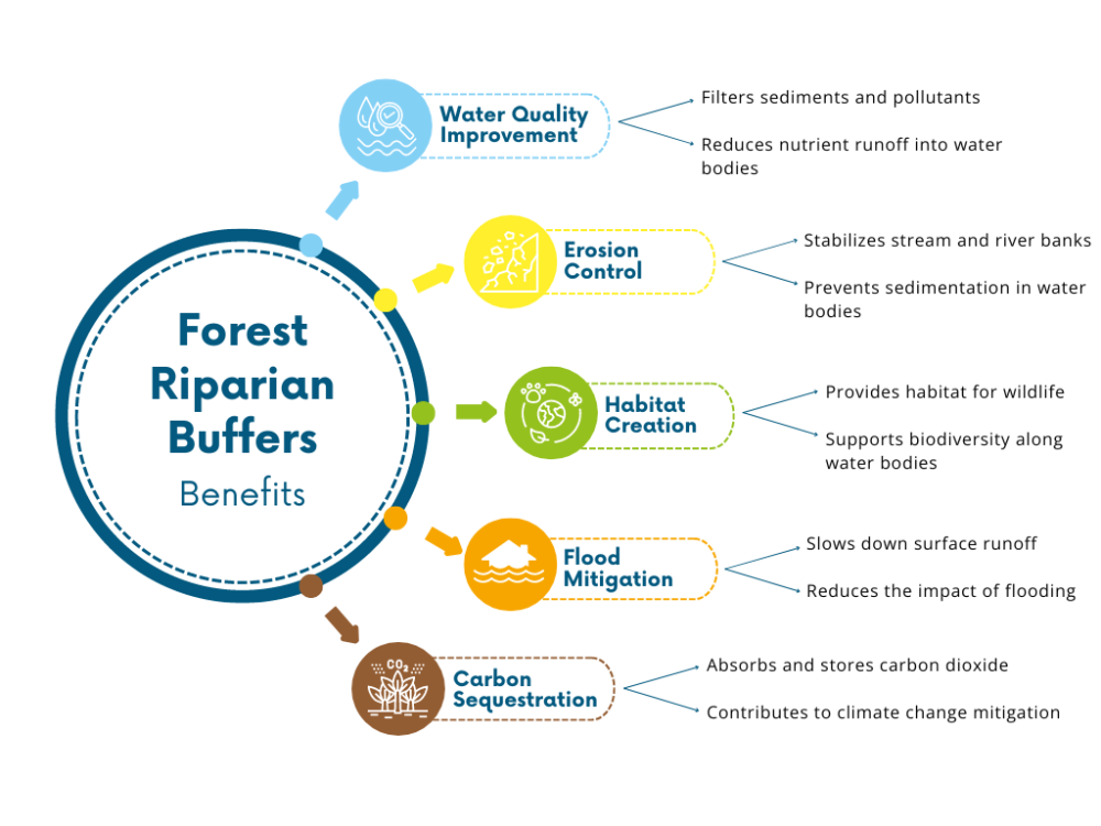 Forest_riparian_buffer_benefits