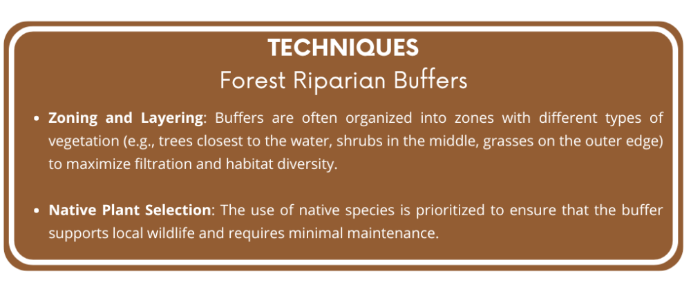 Forest_riparian_buffer_techniques