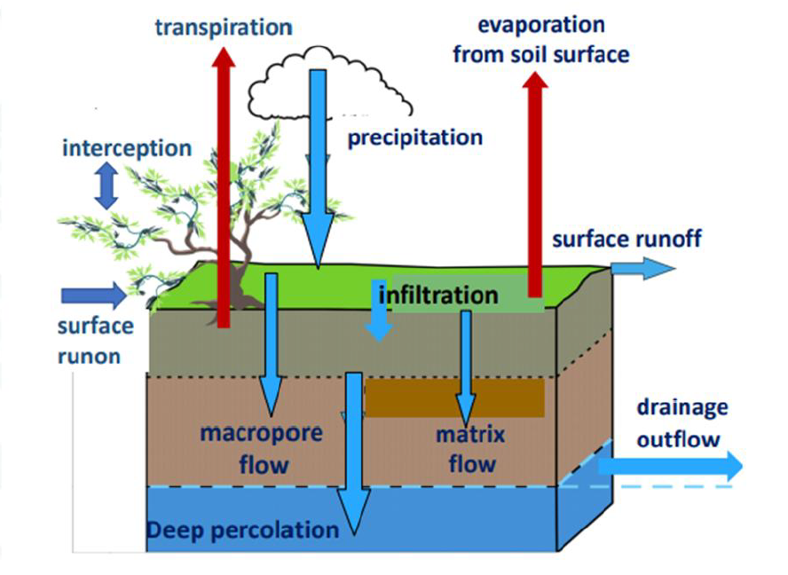 Figure 1. Key water balance elements of a soil profile
