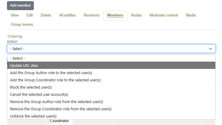 Global Role Management - Temporary solution